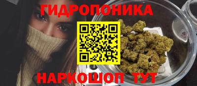PSILOCYBIN Краснодар