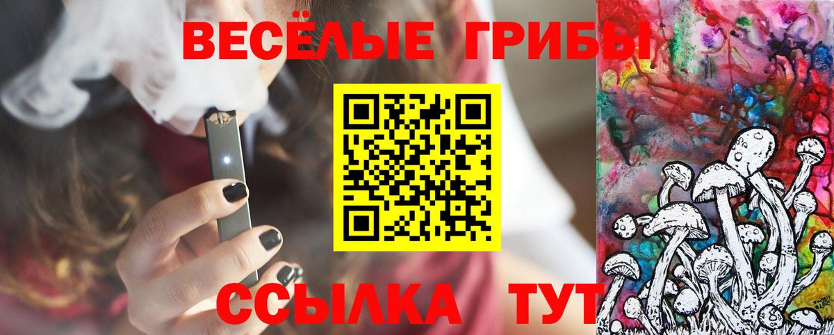 Псилоцибиновые грибы Psilocybine cubensis  Вход с VPN  Озёрск 